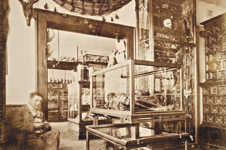 Meet the mummies – cultural ambassadors from beyond the grave