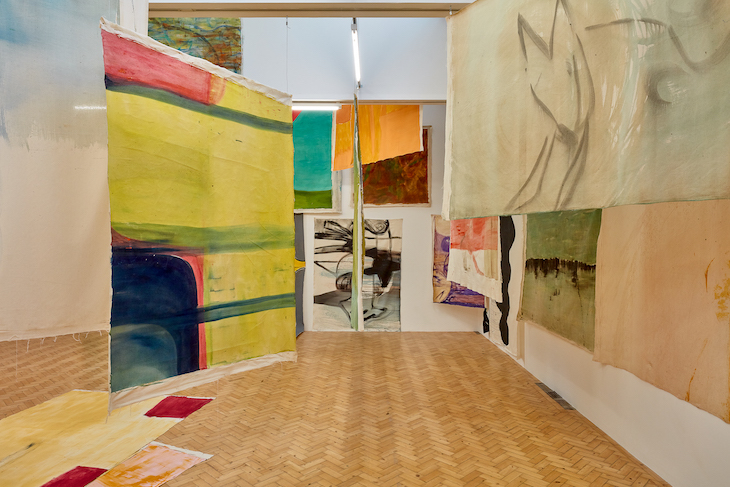 Force of nature – the weathered canvases of Vivian Suter