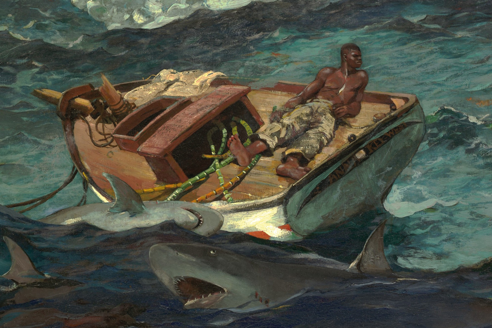 ‘This is a new Winslow Homer for our time’