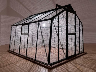 Gnarled histories – winemaking in Algeria