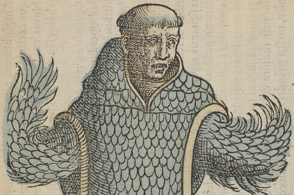 How the wild things are