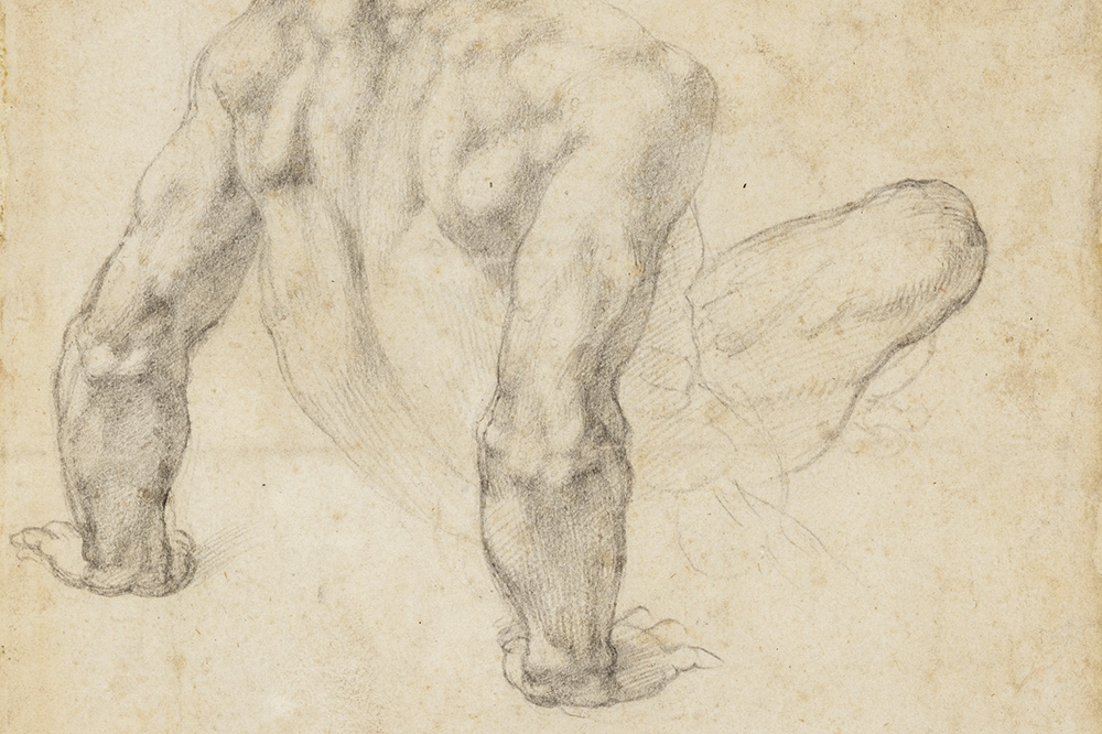 Michelangelo’s careful image management