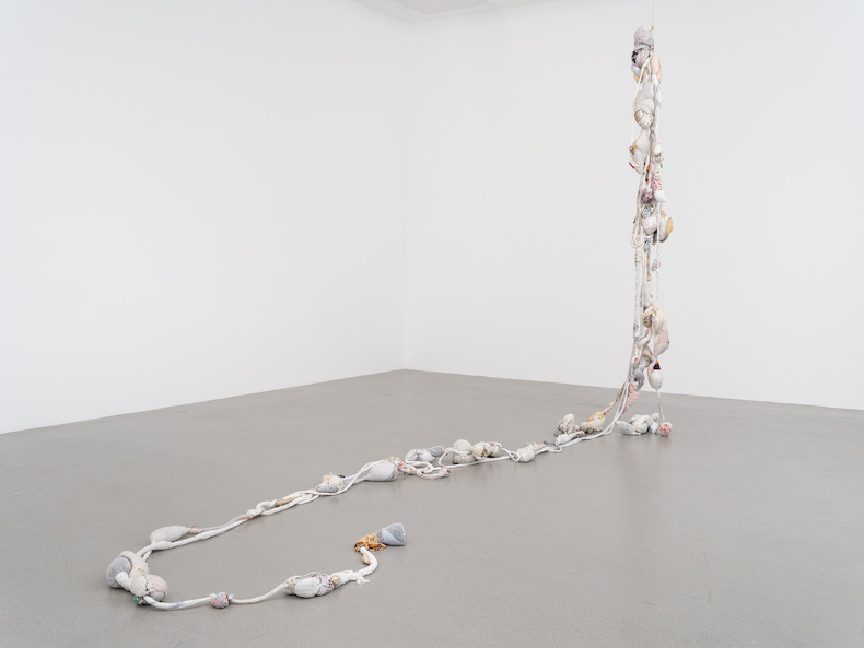 The Brazilian artist