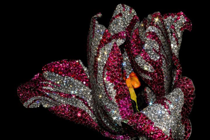 All That Glitters