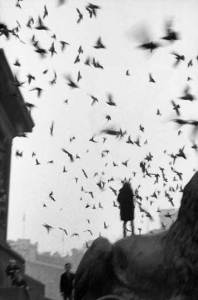 (1958–9), Sergio Larrain