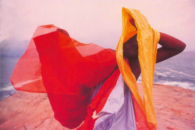 (1964), Hélio Oiticica.