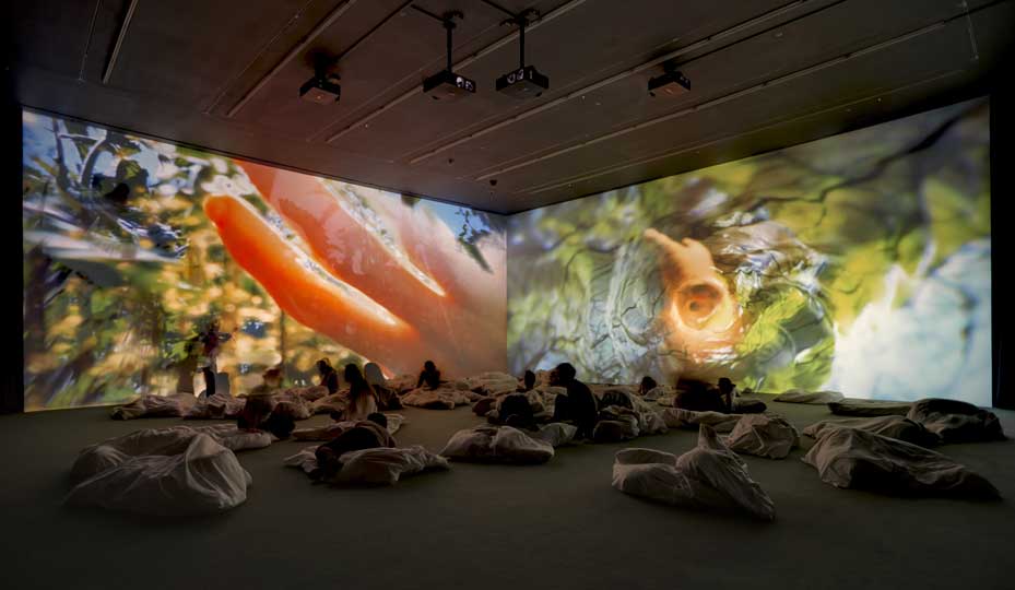 Installation view 'Pipilotti Rist. Worry Will Vanish', Hauser & Wirth London (2014)