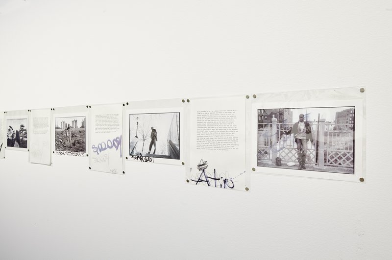(1980), Sophie Calle.