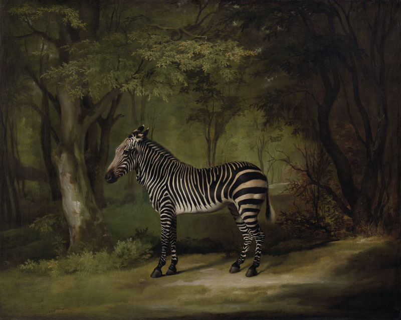 (1763), George Stubbs.