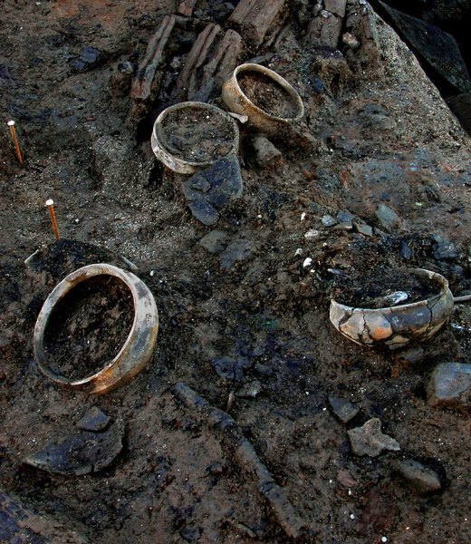 Bronze Age discoveries at Must Farm. Photo: Cambridge Archaeological Unit