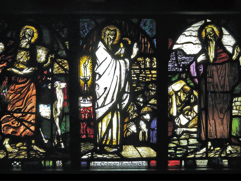 Scenes from the Life of St Colman MacDuagh of Galway