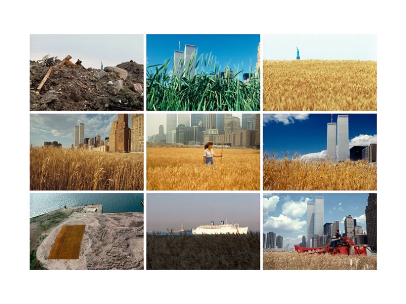 Wheatfield – A Confrontation: Battery Park Landfill, Downtown Manhattan (composite)