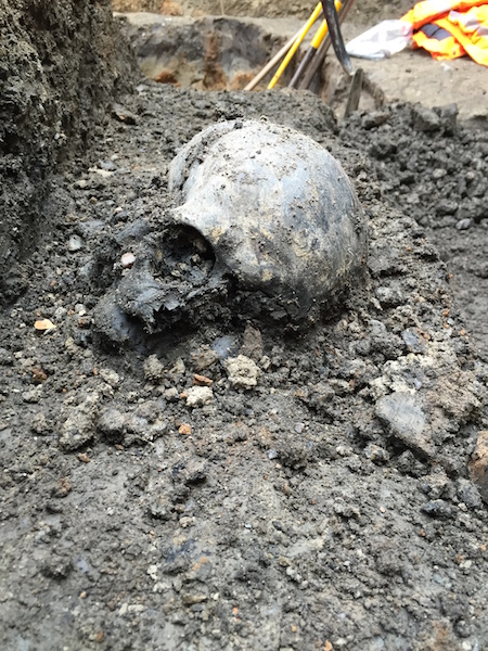 Roman skull of Liverpool Street ticket hall