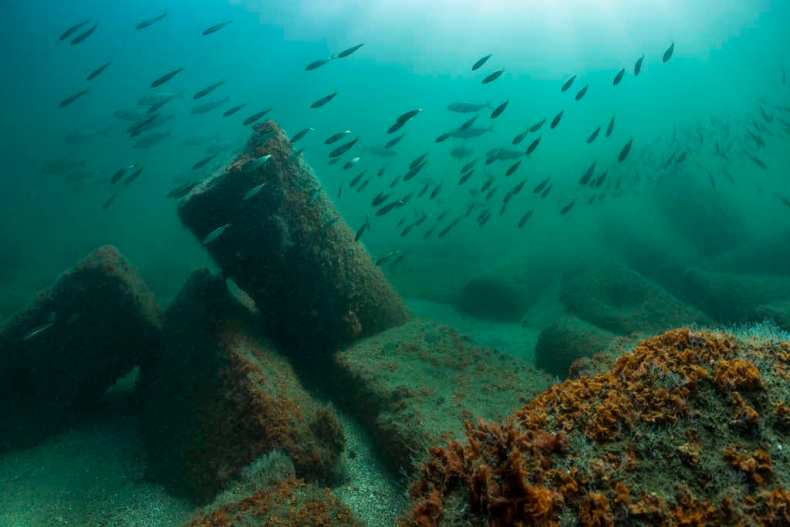 The ruins of antique Canopus were located at some 2km east of the western fringe of the Nile delta, in Aboukir Bay.