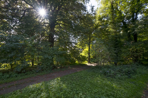 We live on a placid island of ignorance in the midst of black seas of infinity, and it was not meant that we should voyage far (Yorkshire Sculpture Park; 2012), James Webb. Courtesy the artist, blank projects, Galerie Imane Farès and YSP. Photo © Jonty Wilde