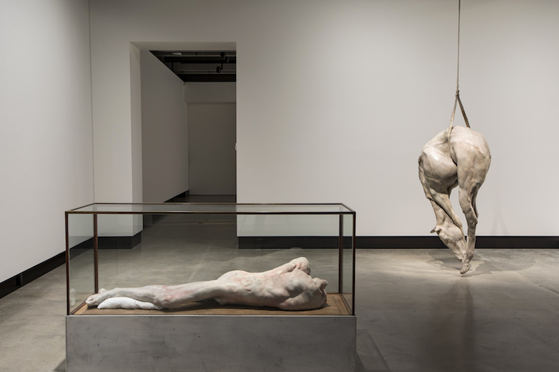 Getting to grips with the nature of art at Mona