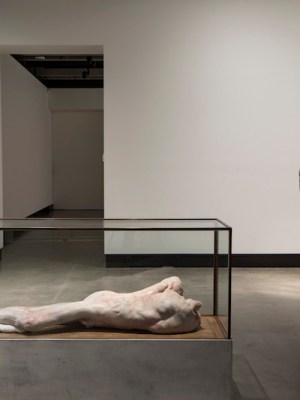 'Lange eenzame man' (2010) (left) and P XIII (2008) (right), Berlinde De Bruyckere, installation view, Mona. Photo: Mona/Rémi Chauvin