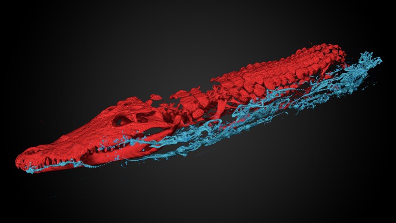 Scan of baby crocodiles in Egyptian crocodile mummy at the Dutch National Museum of Antiquities, Leiden. © Interspectral, 2016