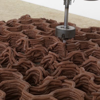 ‘Anya Gallaccio: Beautiful Minds’ at Thomas Dane Gallery, London, 2017. Courtesy the artist and Thomas Dane Gallery, London. Photo Todd-White Art Photography