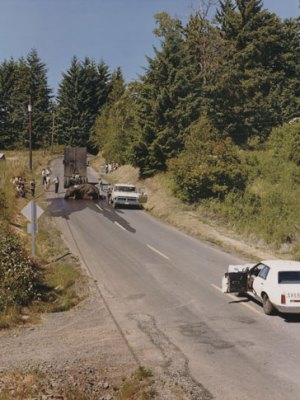 Exhausted renegade elephant, Woodland, Washington, June 1979, by Joel Sternfeld. © Joel Sternfeld. Image courtesy Beetles+Huxley and Luhring Augustine