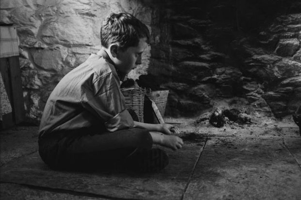 Duncan Campbell turns his attention to rural Ireland