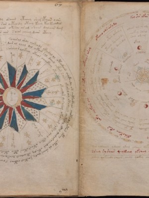 Illustrated pages from the Voynich Manuscript, c. 15th century. Beinecke Rare Book and Manuscript Library, Yale University