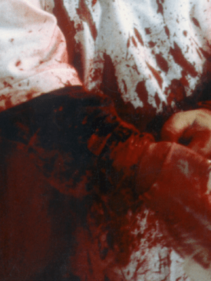 Hermann Nitsch (detail)