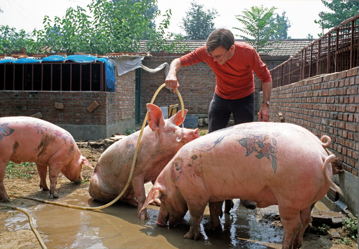 ‘The Cloaca are machines, they’re animals, they’re us’