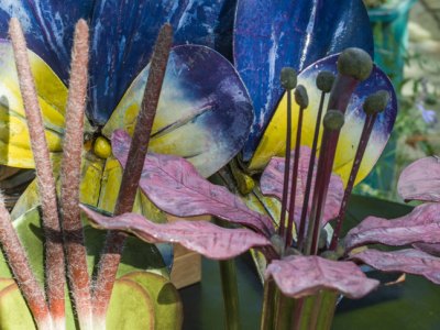 Botanical models from 'Object Lessons' at Manchester Museum