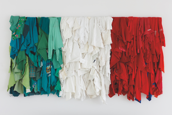 Stracci Italiani (2007), Michelangelo Pistoletto