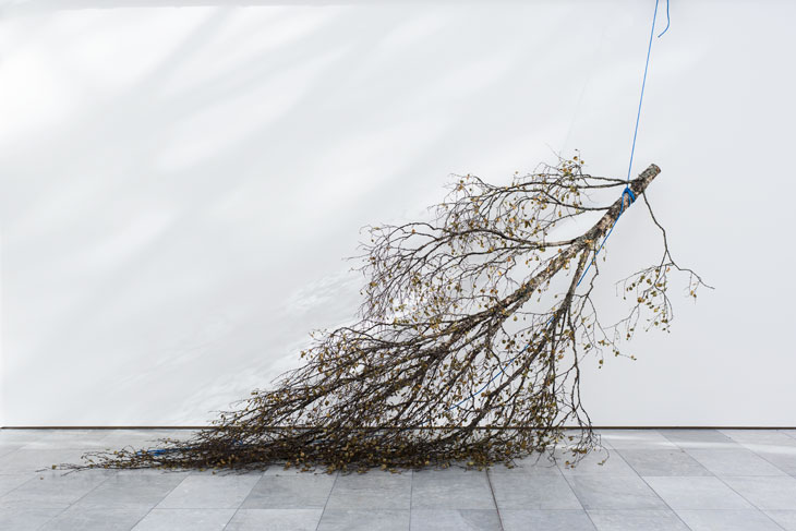 Norway’s top art prize brings the focus back home
