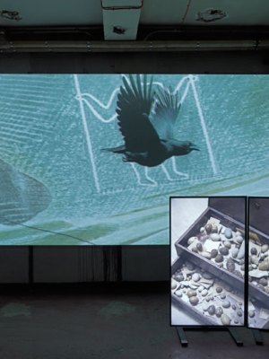 Still from the opposite The Opposite of Time (2017) by Andy Holden. 'Andy Holden & Peter Holden: Natural Selection' (2017), an Artangel commission. Photo: Marcus J. Leith