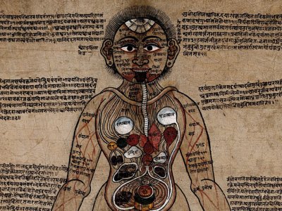 The Ayurvedic Man (18th century), Nepal. Wellcome Collection, London