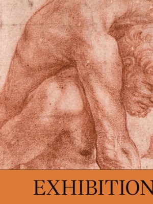 Exhibition of the Year - Apollo Awards 2017 - 'Raphael: The Drawings'