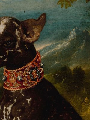 An exotic dog, the Mexican Xoloitzcuintli (c. 1580–1600), Prague School.
