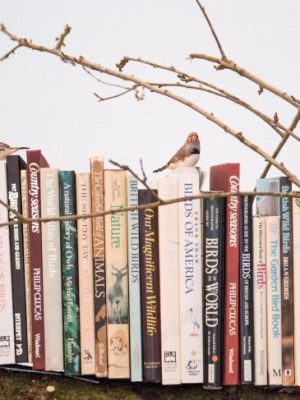 Installation view of Mark Dion's 'The Library for the Birds of London' (2018) at the Whitechapel Gallery, London, 2018, Photo: © Jeff Spicer/PA Wire