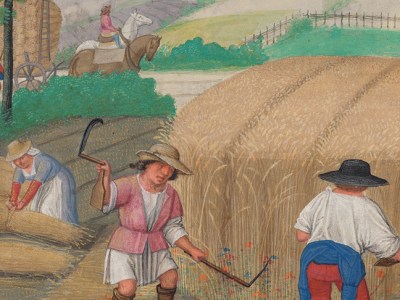 August: Reaping Wheat, 'Da Costa Hours' (detail; c, 1515), illuminated by Simon Bening. The Morgan Library & Museum, New York.