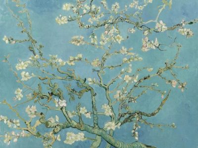 Almond Blossom, (1890), Vincent Van Gogh, Van Gogh Museum, Amsterdam