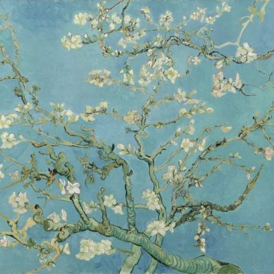 Almond Blossom, (1890), Vincent Van Gogh, Van Gogh Museum, Amsterdam