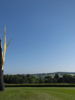 Lightning-struck Tree, (2012), Giuseppe Penone, Private collection, photo: © Jonty Wilde; courtesy the artist and Yorkshire Sculpture Park
