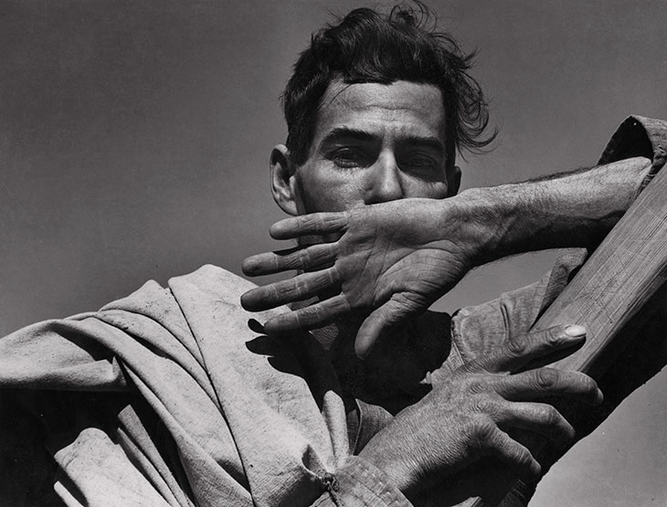 Migratory Cotton Picker, Eloy, Arizona (1940), Dorothea Lange.