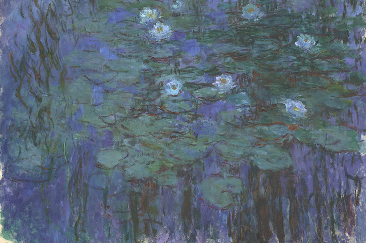 How Monet’s water lilies took root across the pond