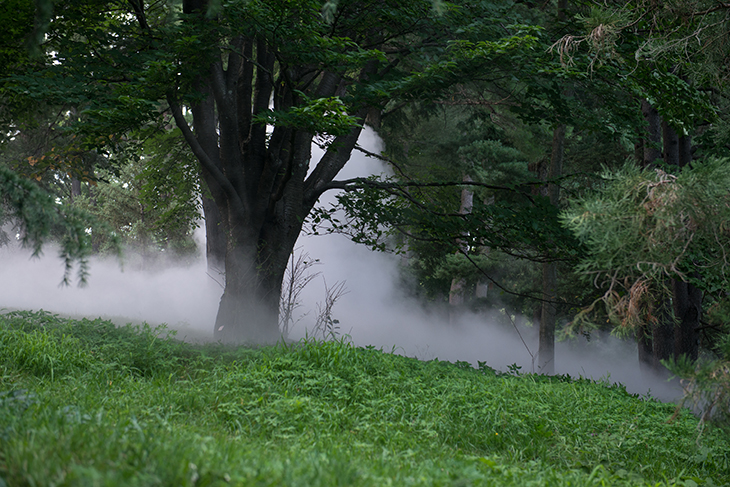 Fujiko Nakaya fills Boston’s parks with fog and shadows
