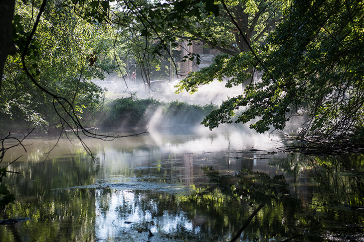 Fog x Canopy (2018), Fujiko Nakaya. Installation view at Clemente Field, Back Bay Fens, Boston.