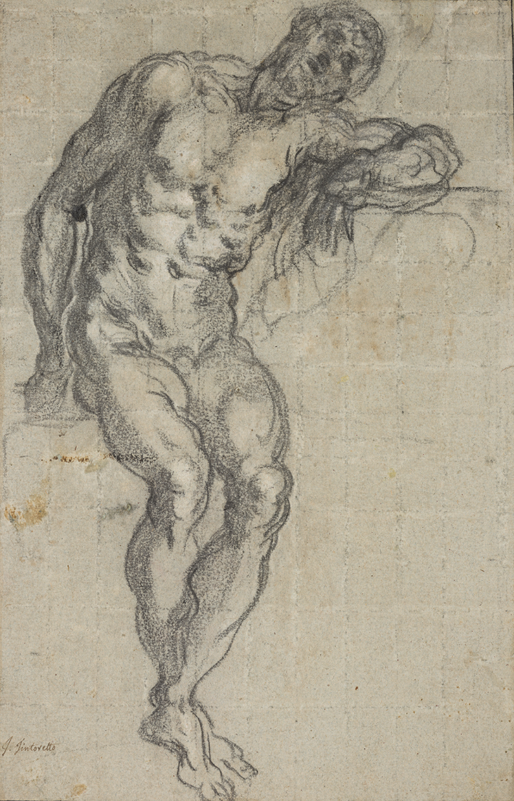 Seated Male Nude (c. 1549), Jacopo Tintoretto. Musée du Louvre, Paris