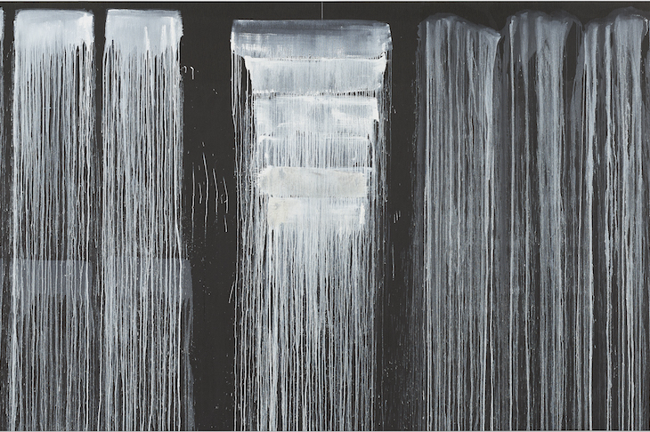 ‘The paint makes its own image’ – an interview with Pat Steir