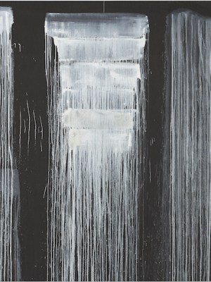 The Barnes Series VI, Steir