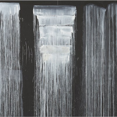 The Barnes Series VI, Steir
