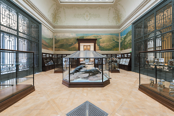 The Crocodile Room in the Africa Museum, Tervuren.