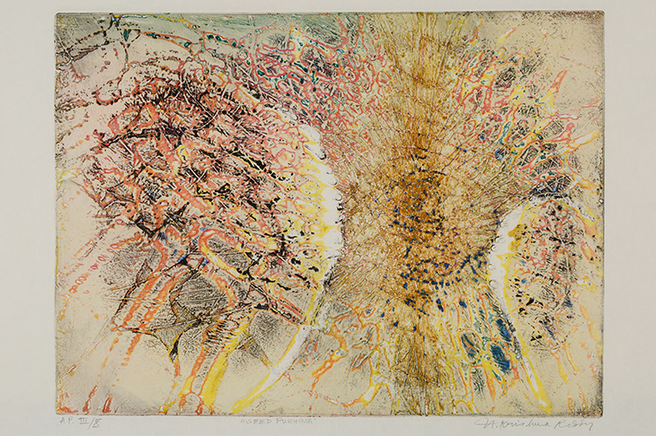 Seed Pushing (1961), Krishna Reddy.